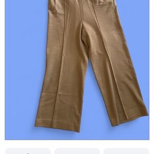 No6 super stylish high waisted pants